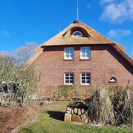 Lazy-oyster-sylt